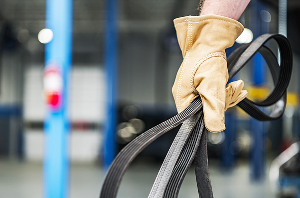 Belt | Frank's Auto Service and Repair